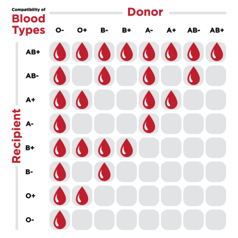 Blood Recipient Chart